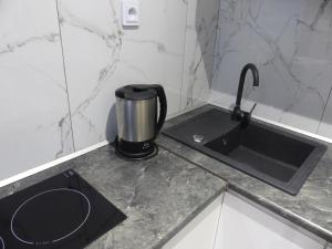 Kuchyň nebo kuchyňský kout v ubytování Apartmány Plischke