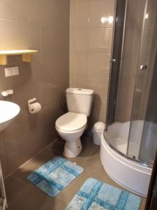 Kúpeľňa v ubytovaní Domki i apartamenty nad jeziorem solińskim z basenem I widokiem na góry