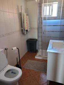 a bathroom with a toilet and a sink and a shower at Quinta dos Moledros in Figueira
