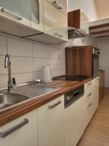 Kuchyň nebo kuchyňský kout v ubytování Apartments Matej & Irena