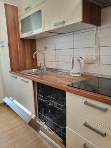 Kuchyň nebo kuchyňský kout v ubytování Apartments Matej & Irena