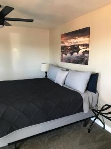 a bedroom with a black bed with a ceiling fan at Red Rock Motel in Page