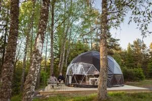 a man standing in front of a tent in the woods at Glamping Julared in Mullsjö