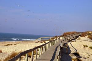 a row of wooden benches on a beach near the ocean at Miravillas Hotel in Praia de Mira