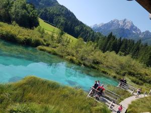 克拉尼斯卡戈拉Apartment Ranc的一群人站在河上桥上