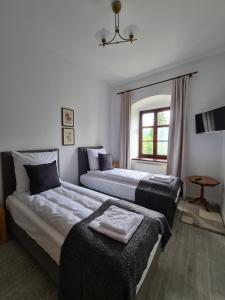 ein Hotelzimmer mit 2 Betten und einem Fenster in der Unterkunft SUKIENNICE MIĘDZYLESIE in Mittelwalde