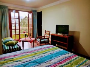 a bedroom with a bed and a tv and a window at Fundo San Silvestre in Huaraz