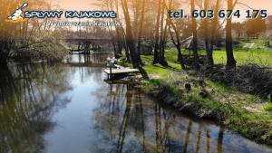 Příroda nedaleko apartmánu