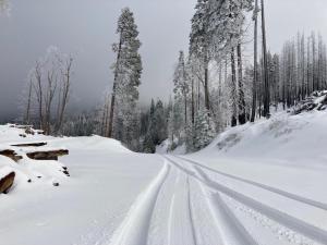 a road covered in snow with trees in the background at Glamping property in Panorama Heights