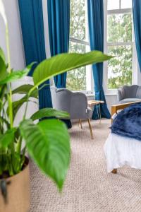 una sala de estar con cortinas azules y una planta en * POPULAR * Stunning quiet apartment by the sea en Torquay