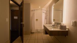 Koupelna v ubytování Holiday Inn Express Hotel & Suites Mankato East by IHG