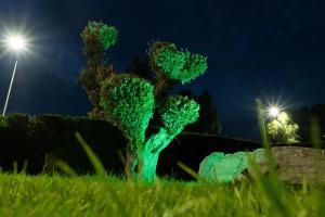 a green tree in the grass at night at Palamoutaki Villa in Koskinou