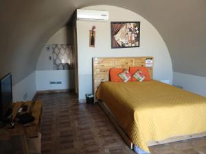 1 dormitorio con 1 cama y TV en una habitación en Cabañas Valle de Guadalupe, en La Amplación