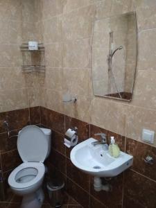 W łazience znajduje się toaleta, umywalka i lustro. w obiekcie Studio Oasis-shabla w mieście Szabła