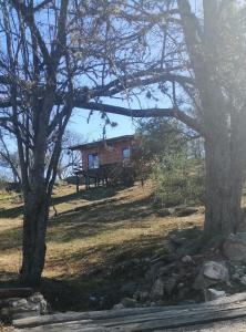 eine Hütte inmitten eines Feldes mit Bäumen in der Unterkunft Cabaña de Campo - Valle de Calamuchita - Sierras de Córdoba in San Clemente