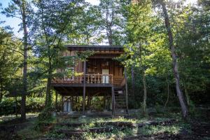 a tree house in the middle of the woods at First Class Backpackers Inn DAISEN - FBI DAISEN in Daisen
