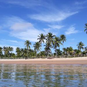 una playa con palmeras y agua en Recanto Ancora Azul - Taipu de Fora, en Barra Grande