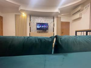 un soggiorno con un divano e una TV di Sofie - free parking place in the garage a Belgrado
