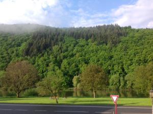 uma vista para uma montanha com um lago e uma estrada em Hotel Moselterrasse em Ediger-Eller