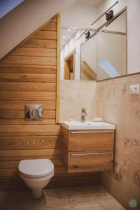ein Badezimmer mit einem Waschbecken, einem WC und einem Spiegel in der Unterkunft Stara Chata w Beskidach in Żabnica