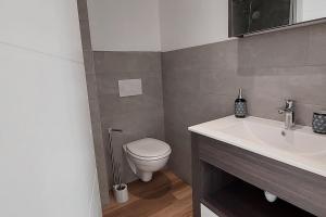 a bathroom with a toilet and a sink at Gîte chez Marianne- la halte Jurassienne in Montmorot