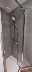 a shower with a glass door with a shower head at Gîte chez Marianne- la halte Jurassienne in Montmorot