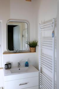a bathroom with a sink and a mirror at Peenehof Köppen - Ferienwohnungen & Schlaffässer in Jördenstorf