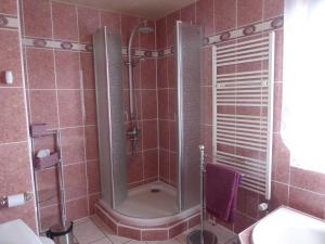 a bathroom with a shower with a sink and a toilet at Ferienwohnung Hagebuttenweg in Thale