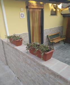 three potted plants on a brick wall next to a bench at Casetta Santa Maria Degli Angeli in Santa Maria degli Angeli +7 photos