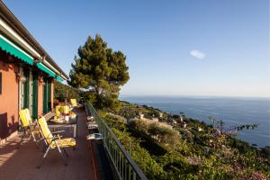 Táj Show holiday homes közelében
