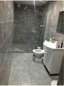 een badkamer met een douche, een toilet en een wastafel bij Grande maison avec plusieurs chambres à louer in Luik