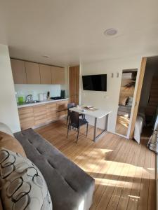 TV a/nebo společenská místnost v ubytování Mobile home Dream , Camp Porton Biondi- Rovinj