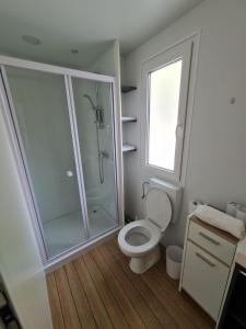 a bathroom with a toilet and a glass shower at Mobile home Dream , Camp Porton Biondi- Rovinj in Rovinj +15 photos