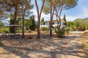 a house with trees in front of it at Appartamento La Triglia - HelloElba in Lacona