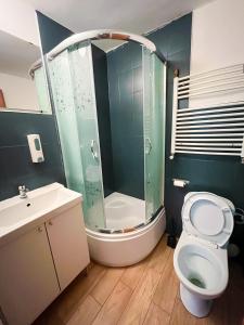 Un baño con ducha, inodoro y lavabo. en Noclegi WOKU, en Świebodzice
