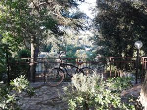 Jazda na bicykli v okolí ubytovania Ciao b&b