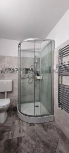 una doccia in vetro in un bagno con WC di Karacsony Guest House a Lunca de Sus