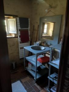 a bathroom with a blue sink and a mirror at Chambre d'Hôtes La Ferme du Pré-Martin in La Génevraie