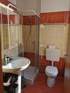 een badkamer met een toilet, een douche en een wastafel bij Apartma Valan in Bovec