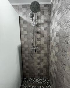 a bathroom with a shower with a tiled wall at Cabana Mullerhaus in Tău Bistra +19 photos