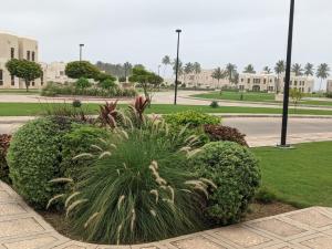 Zahrada ubytování Salalah Premium Villas