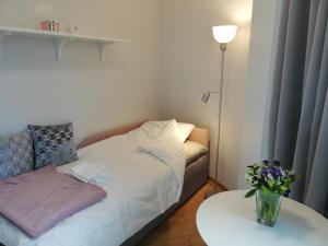 a small room with a bed and a table at Pepleri Studio 67 in Tartu