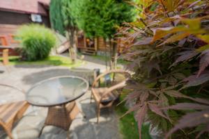a table and chairs and a mirror in a yard at Villa Garden Hotel in Solochyn