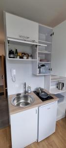 uma cozinha com um lavatório e uma bancada em Pepleri Studio 67 em Tartu