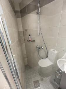 a bathroom with a shower with a toilet and a sink at Pepleri Studio 67 in Tartu +7 photos