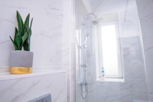 un baño con ducha y una planta en un estante en Vladstudio, en Turda 26 fotos más