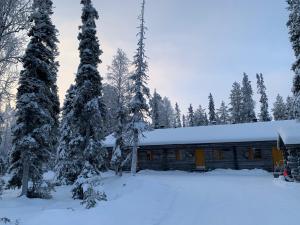 Logwood Chalet зимой