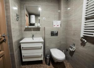 Un baño con inodoro, lavabo y espejo. en Saga apartment Zlatibor, en Zlatibor 11 fotos más