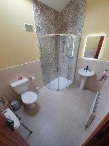 a bathroom with a shower and a toilet and a sink at Slane Farm Hostel, Cottages and Camping in Slane