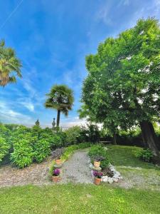 Zahrada ubytování Ca' Settecento "Villa Cavazza Querini"